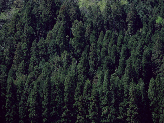 Bbcb8adf6470819b9a1316101ba38688