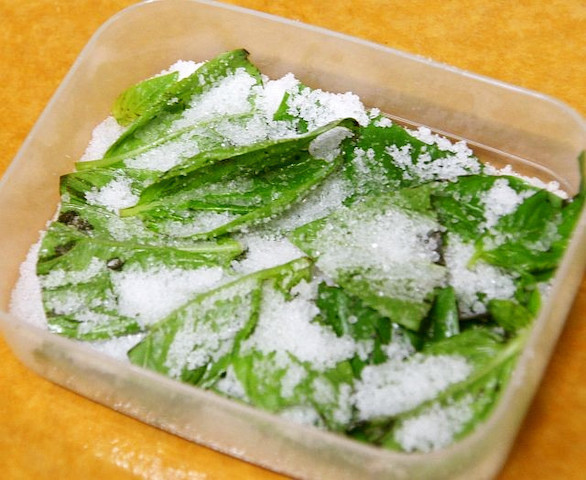 傷む心配なし 話題の 塩バジル で長期保存が可能に クックパッドニュース