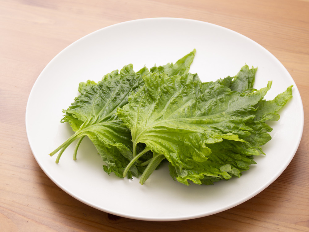 0ec4407632f421fa6efa448ca98785