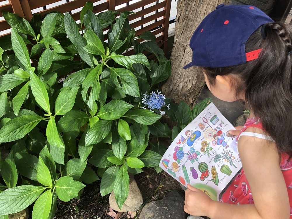 子どもが「夏の旬食材」をするする覚えちゃう!お買い物ついでにできる学びのコツ【今日から始める親子クッキング vol.9】