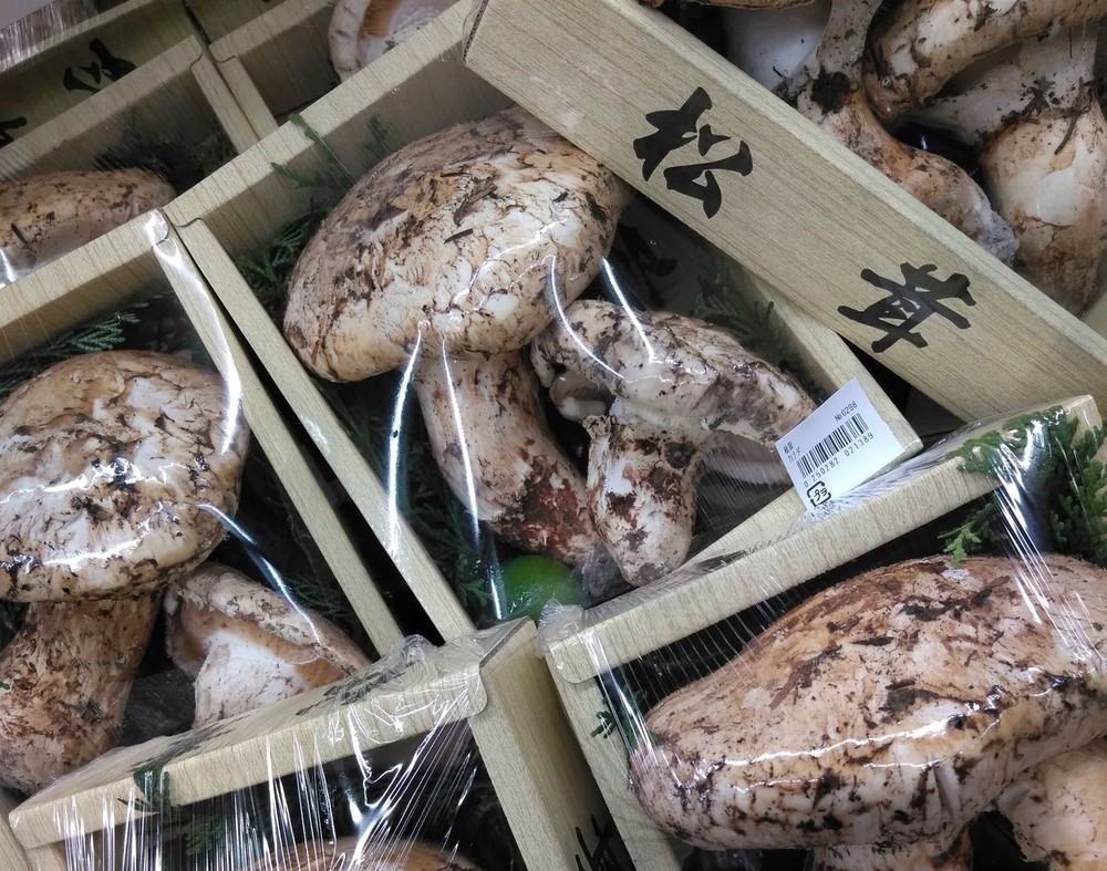 980円で王様気分――松茸ごはんを炊いてみる【数字のないレシピたち Vol.3】