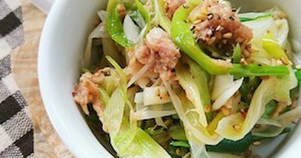 家飲み時間のおともに♪材料2品で特急おつまみ「ねぎあえ」がビールに合う！