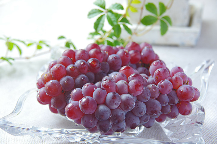 クックパッドニュース 裏ワザ 一瞬でたくさんの ぶどうの皮 を剥ける方法が気持ちいい 毎日新聞