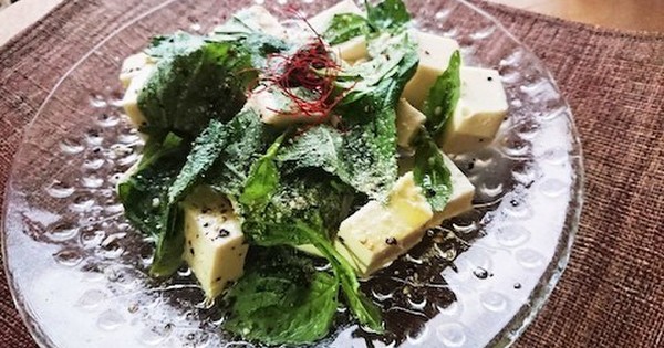 食べすぎな人に 相性バツグンの 豆腐 バジル おつまみ4選 クックパッドニュース