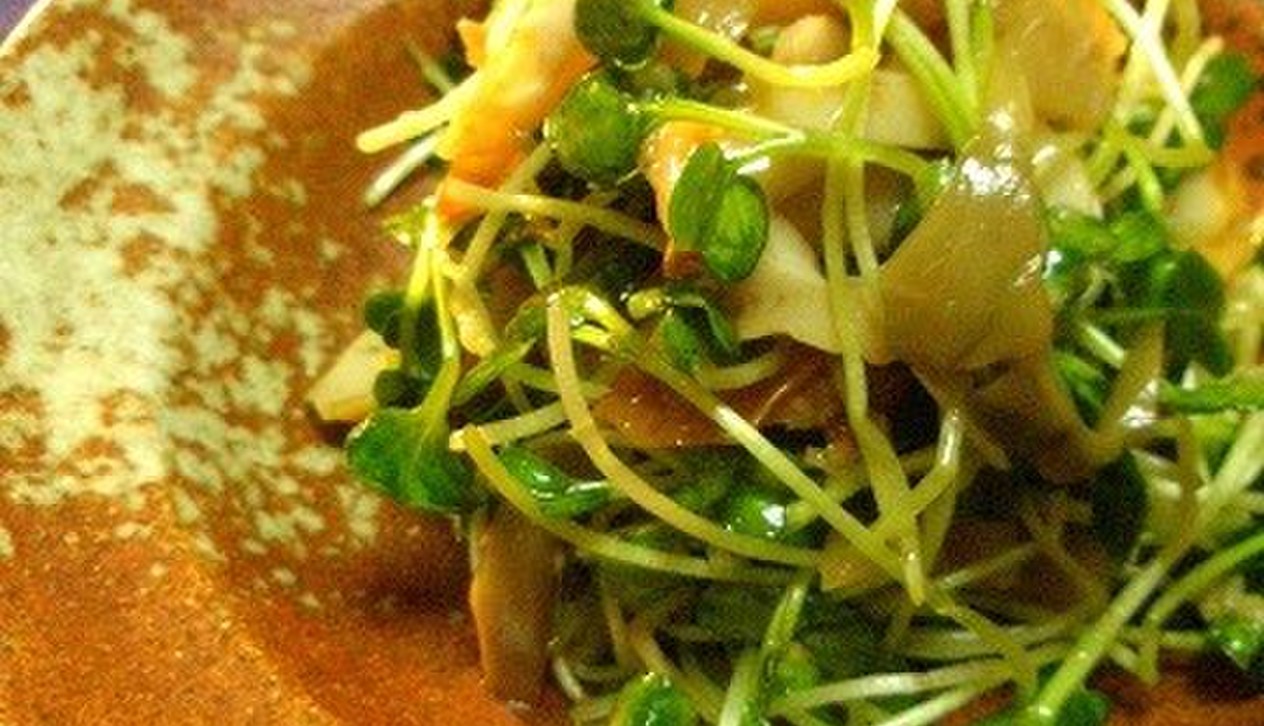 葉物野菜が高い！と思ったら、かいわれ大根で1品 | クックパッドニュース