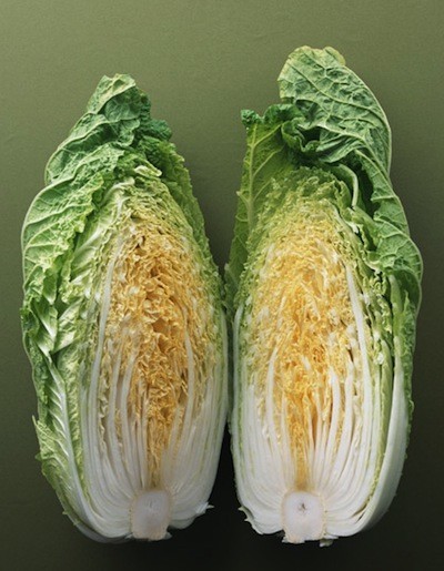 年末年始のいろいろデトックスには、冬においしい白菜が一番!!