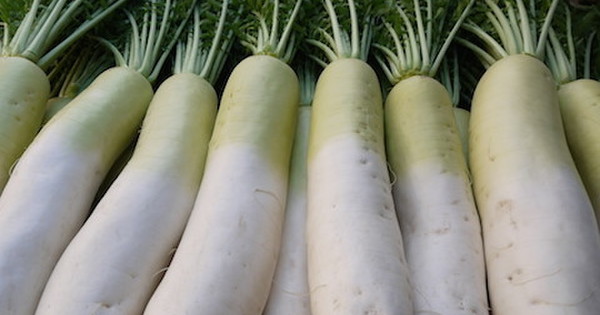 ２月の野菜 大根 ほうれん草 水菜について知っておこう クックパッドニュース