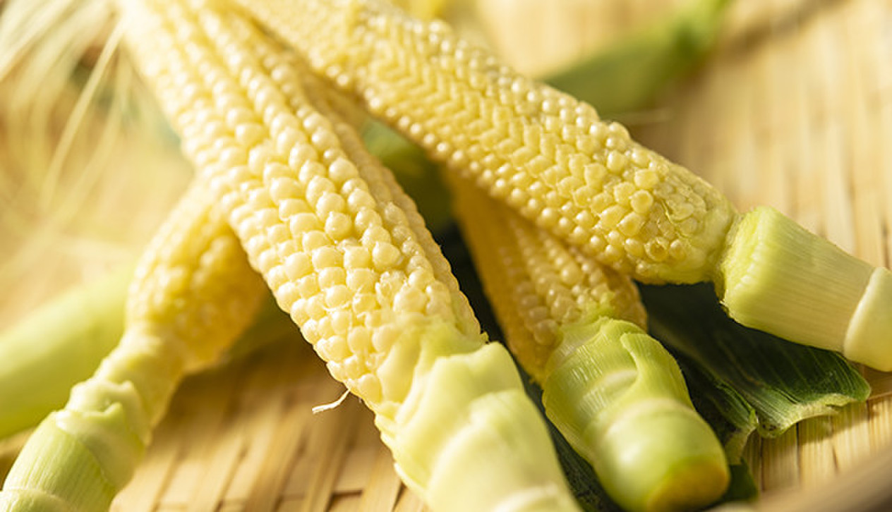 今だけ生で売っている！茹でても焼いてもおいしい「ヤングコーン」を