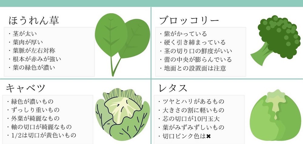 クックパッドニュース 野菜24種類 のおいしい見分け方が話題 キャベツや白菜の葉の断面は 黄色 のほうが新鮮だった 毎日新聞