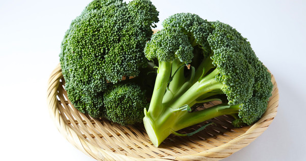 水っぽくならないレンチン加熱のコツも紹介 おいしい ブロッコリー の見分け方 クックパッドニュース