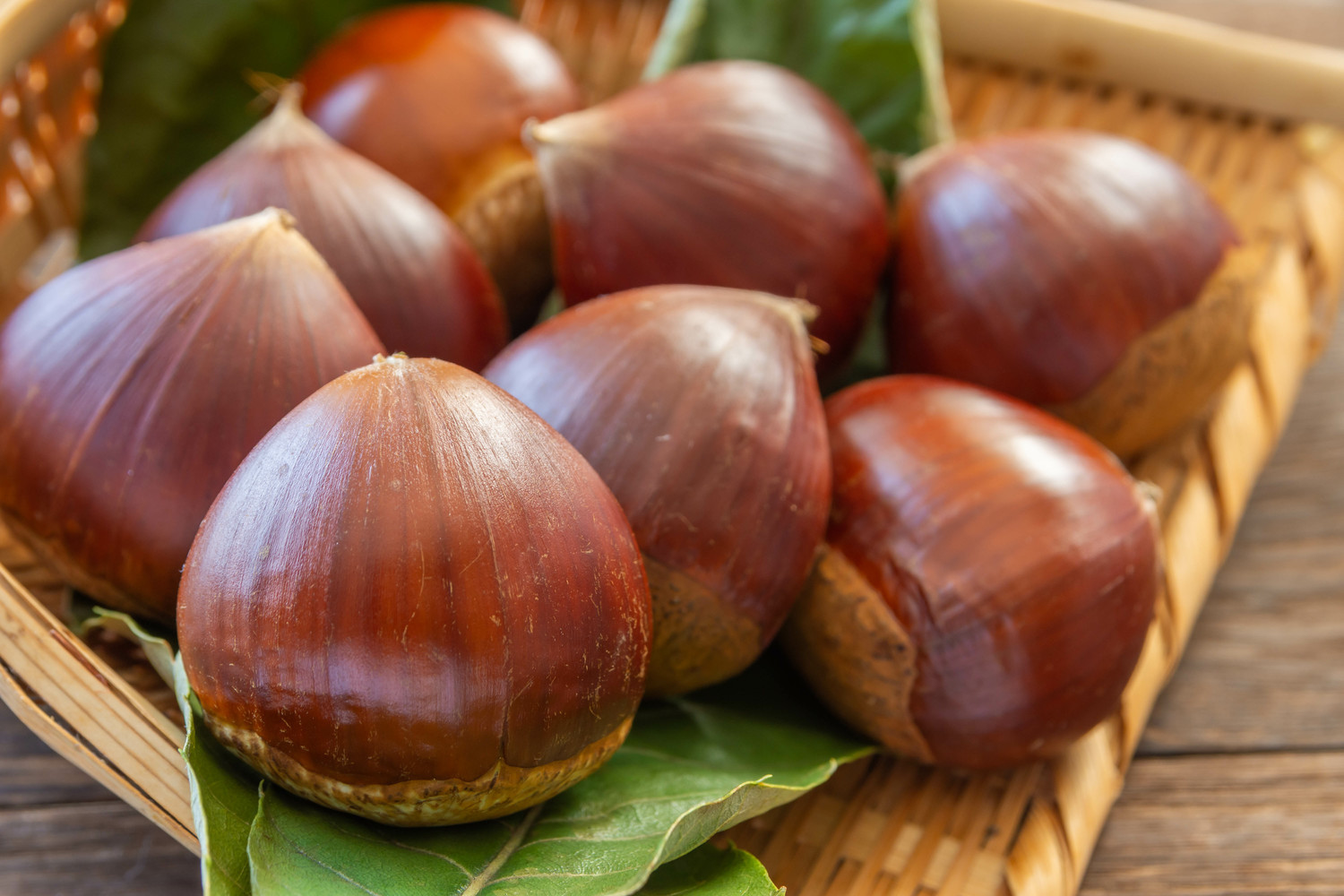 クックパッドニュース 今が旬だから食べたい 栗 の上手な茹で方 剥き方 毎日新聞