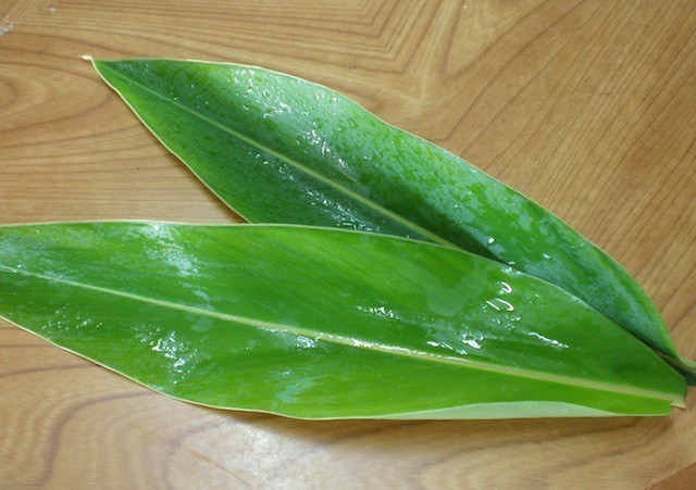 沖縄の長寿の秘密『月桃(ゲットウ)』って知ってる?
