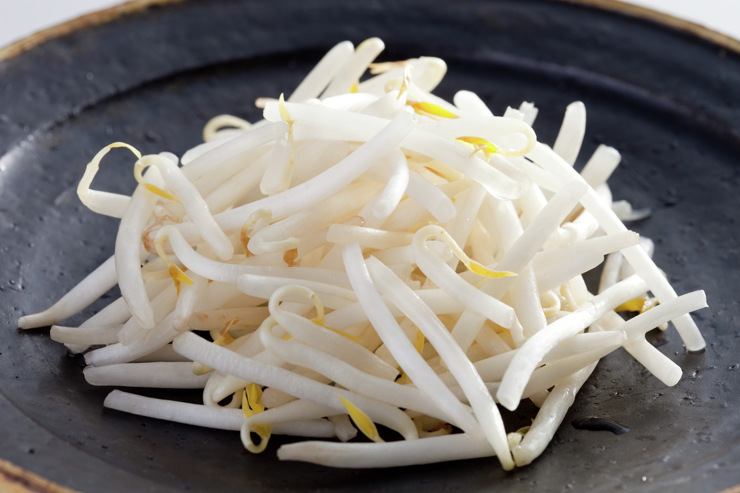 物価高なのに「もやし」ってどうして安いの？もやしマニアにその理由を