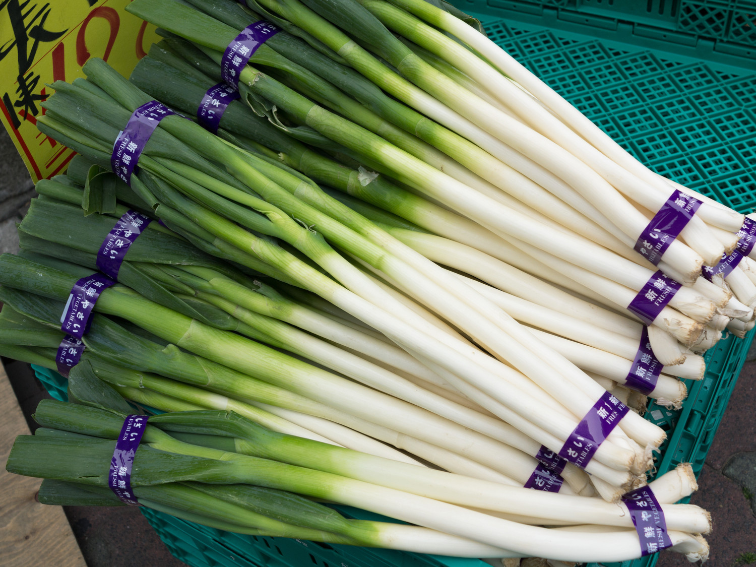 クックパッドニュース：切り方で味が変わる！？おいしいネギの食べ方を野菜博士・緒方湊くんに聞いた | 毎日新聞