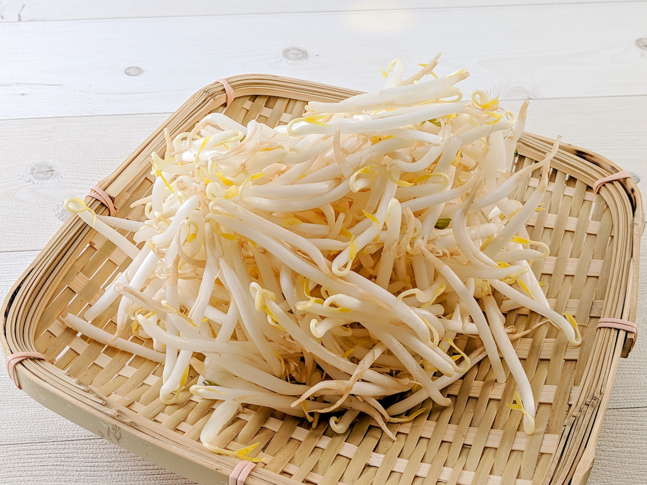 クックパッドニュース：ベストなシャキシャキ感が味わえる！火を使わない「もやしの茹で方」 | 毎日新聞