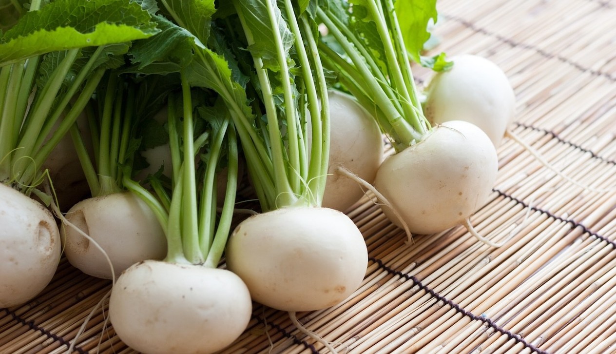 知っておいて損なし！長持ちするかぶの保存法 | クックパッドニュース