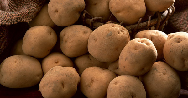 実は常識 冷蔵庫で保存したじゃがいもは 揚げ物にしないほうがいいって知ってた クックパッドニュース