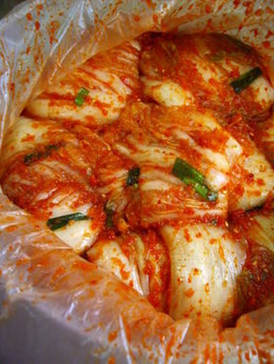 ☯韓国人直伝☯自家製白菜キムチの写真