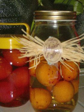 果実酢　プラム＆杏の画像