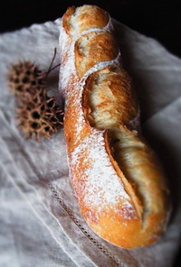 自家製酵母のフランスパン（中種）