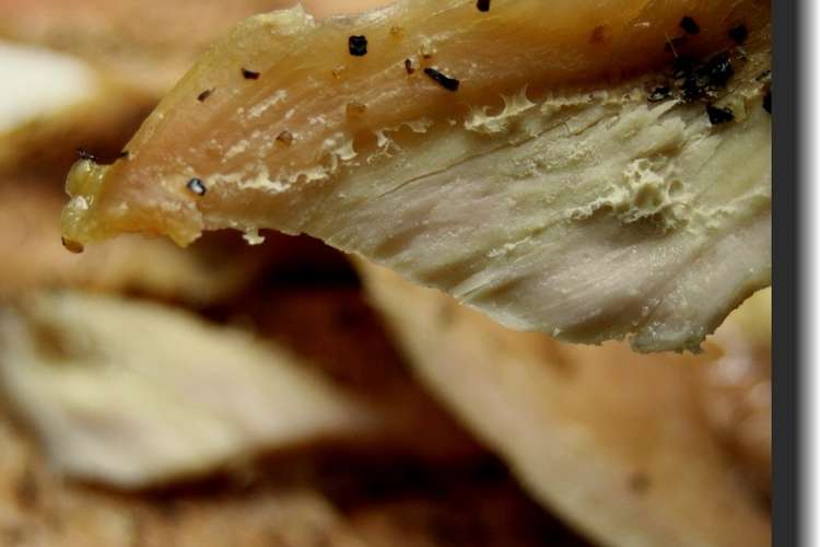 チキンジャーキー レシピ 作り方 By 流 クックパッド 簡単おいしいみんなのレシピが360万品