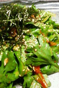 キムチドレッシングで春菊サラダ