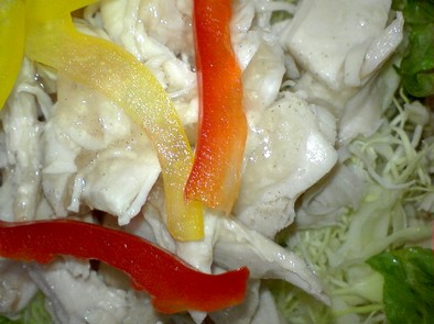 茹で鶏のサラダの写真