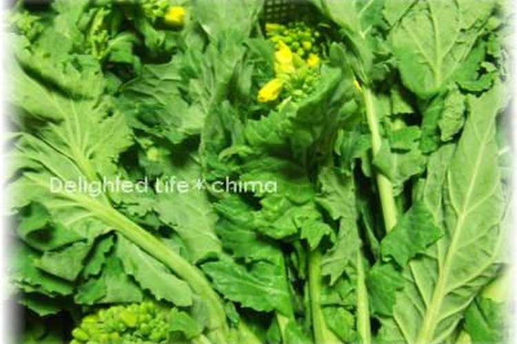 菜の花 冷凍保存 レシピ 作り方 By Chima クックパッド 簡単おいしいみんなのレシピが367万品