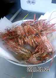 みんなが作ってる エビ 塩焼き オーブントースターのレシピ クックパッド 簡単おいしいみんなのレシピが359万品