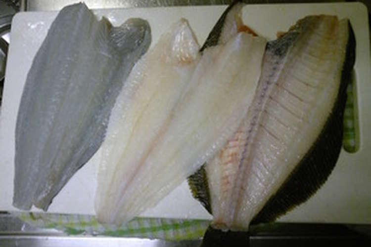 お魚 簡単かんたん ヒラメのさばき方 レシピ 作り方 By Sakanacchi クックパッド 簡単おいしいみんなのレシピが361万品