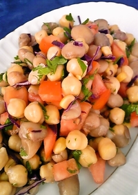 トルコの家庭料理☆豆のミックスサラダ