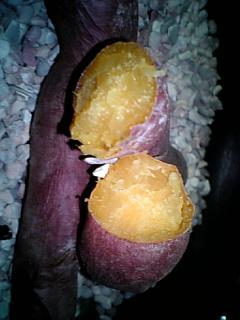 フライパンde石焼き芋の画像