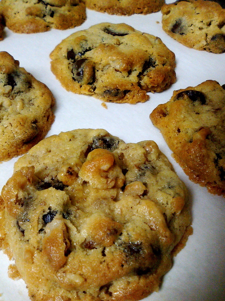 Chocochip Cookies 2の画像