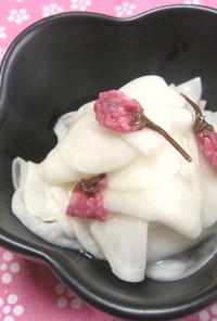 お花見弁当✿簡単！桜とカブの甘酢漬け✿