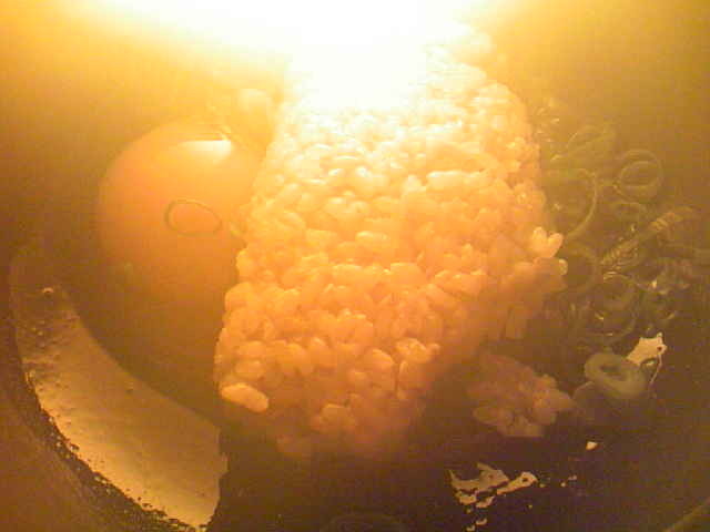 白だしの卵かけご飯の画像