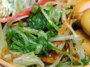 水菜と桜えびのおひたし【お弁当/赤・緑】の写真