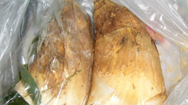 たけのこ下処理 水だけヌカ無しで簡単 レシピ 作り方 By ザッキーママ クックパッド 簡単おいしいみんなのレシピが354万品 たけのこ下処理 水だけヌカ無しで簡単 レシピ 作り方 By ザッキーママ クックパッド 簡単おいしいみんなのレシピが354万品