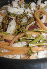 シナチク風味の筍と蕨の炊き込み混ぜご飯
