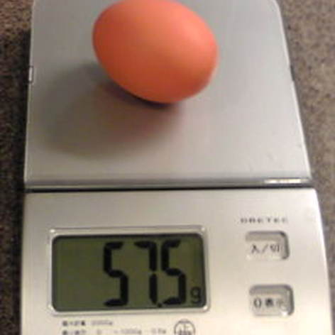 【覚書】卵のサイズ