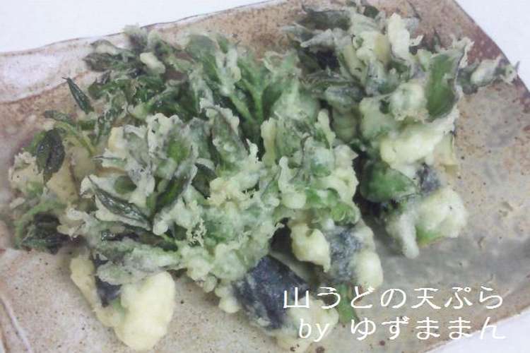山うどの天ぷら レシピ 作り方 By ゆずままん クックパッド