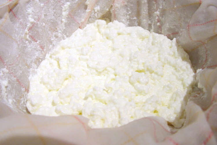 とろとろクリ ミ 手作りカッテージチーズ レシピ 作り方 By Conamonn クックパッド 簡単おいしいみんなのレシピが349万品