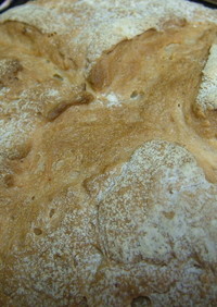 天然酵母のパン・・・ちょっぴりイースト