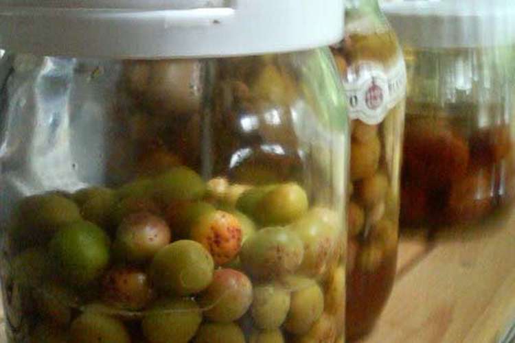 簡単美味しい カリカリ小梅漬け レシピ 作り方 By Norinosan クックパッド 簡単おいしいみんなのレシピが358万品