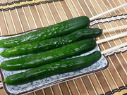 自家製浅漬けの素で!!きゅうりの一本漬けの写真