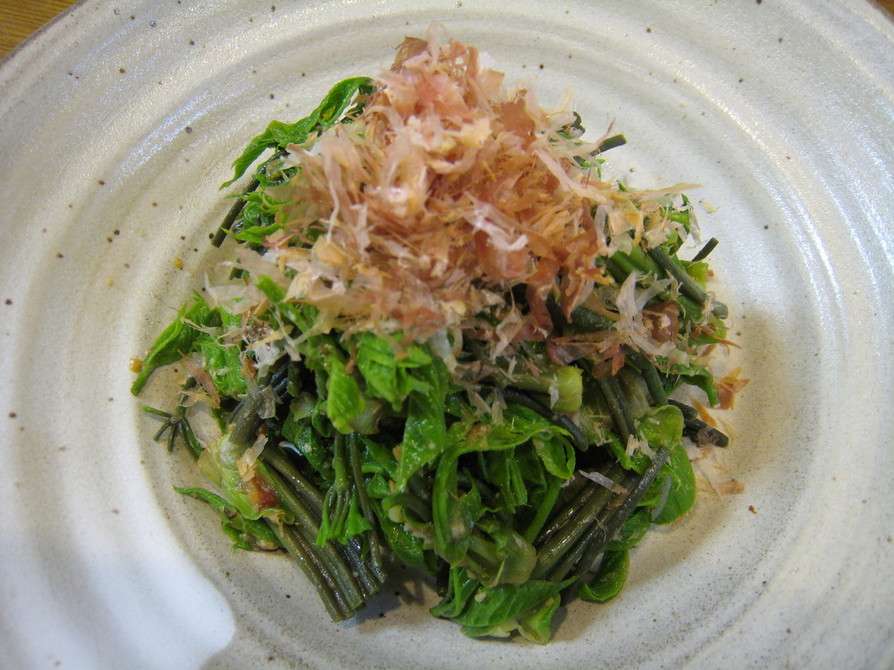 コシアブラ（山菜）の味噌和えの画像