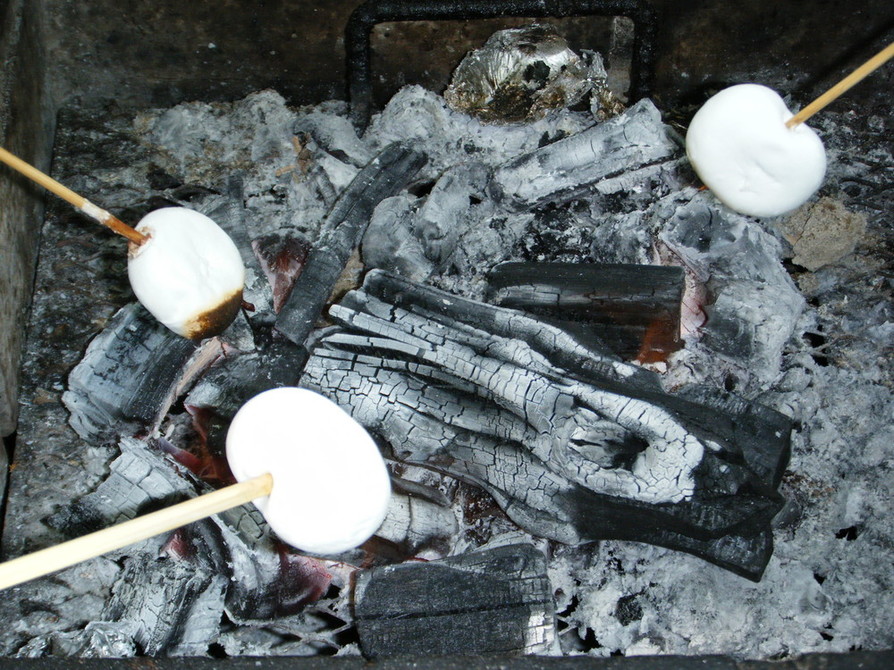 バーベキューで超簡単菓子の焼きマショマロの画像