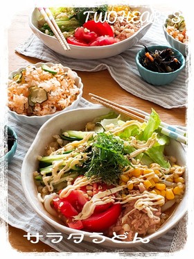 ❤夏はやっぱりこれ~サラダうどん❤