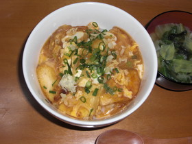 お豆腐でもがっつり♪豆腐丼ぶり