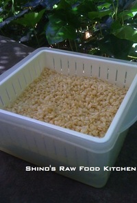 ローフード。簡単♪発芽玄米。