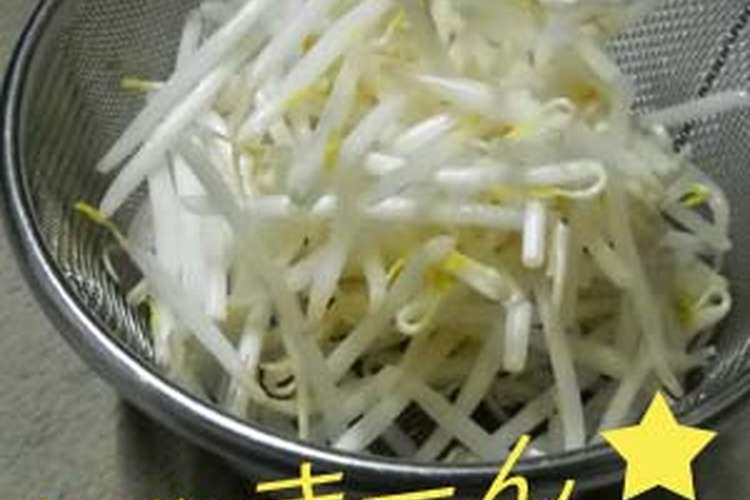 もやしを しゃきーん と炒める方法 レシピ 作り方 By 暗黒きのこ クックパッド 簡単おいしいみんなのレシピが358万品
